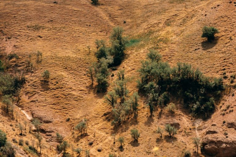 référencement terrain padel — guide complet